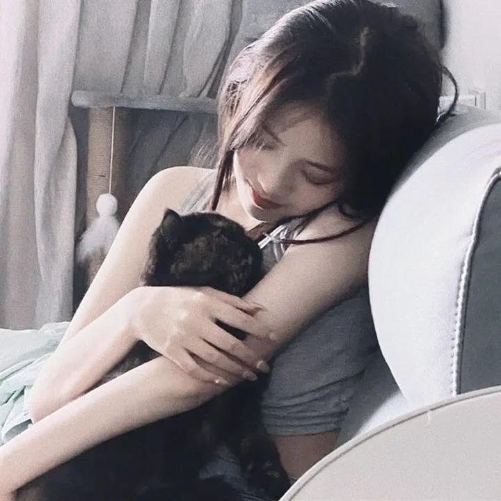 招蜂引蝶